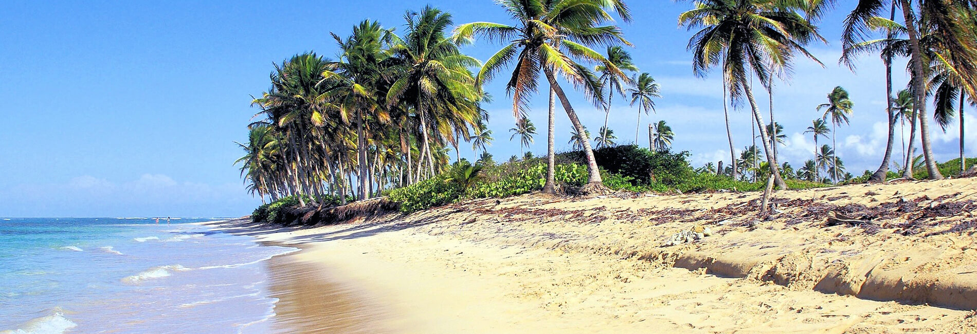 Whala! Bávaro Whala! Bávaro